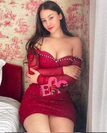 meena classic escort service shimla